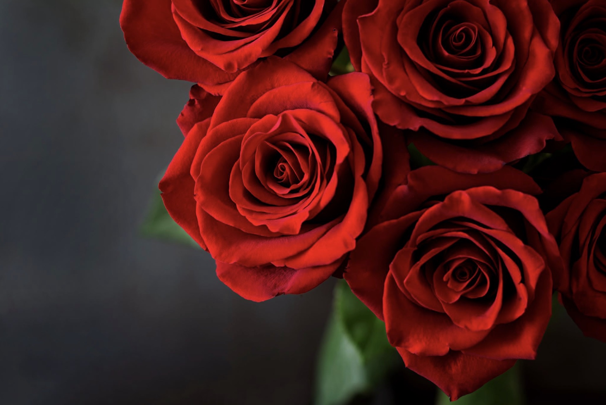 IMG 3628